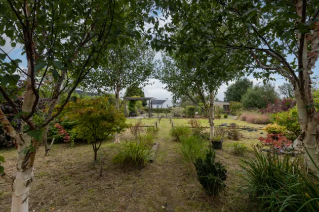 Photo of Clonmore Upper, Glenbrien, Enniscorthy, Co. Wexford., Y21 VOV9