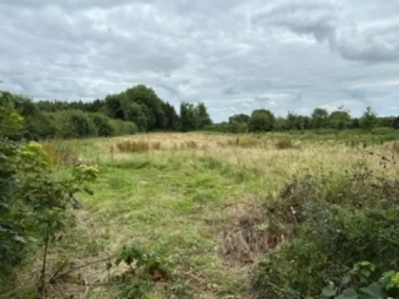 Photo of Doolan's Cottage, Corbetstown, Killucan, Co Westmeath, N91AV90