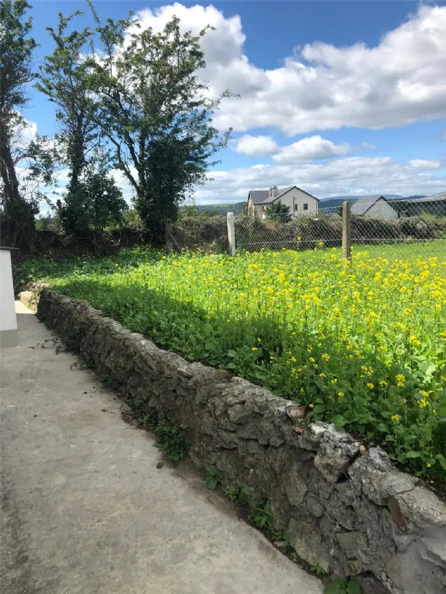 Photo of Luffany, Mooncoin, Co.Kilkenny, X91 T1F2