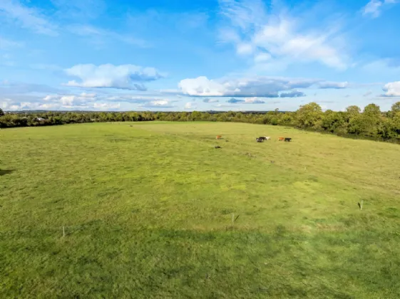 Photo of 40 Acre Residential Farm, Fleenstown, The Ward, Co. Meath, D11 RW98