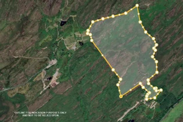 Photo of Honeysuckle, Derryduff More, Coomhola, Bantry, Co. Cork, P75 N966