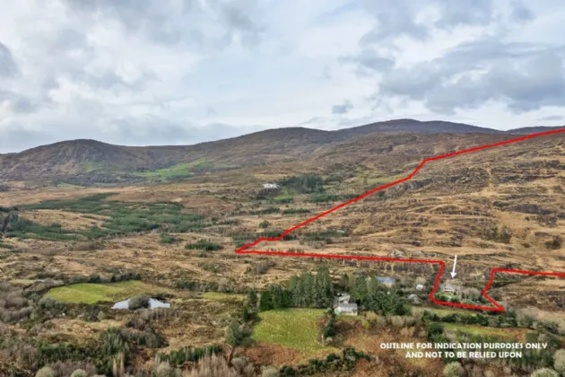 Photo of Honeysuckle, Derryduff More, Coomhola, Bantry, Co. Cork, P75 N966