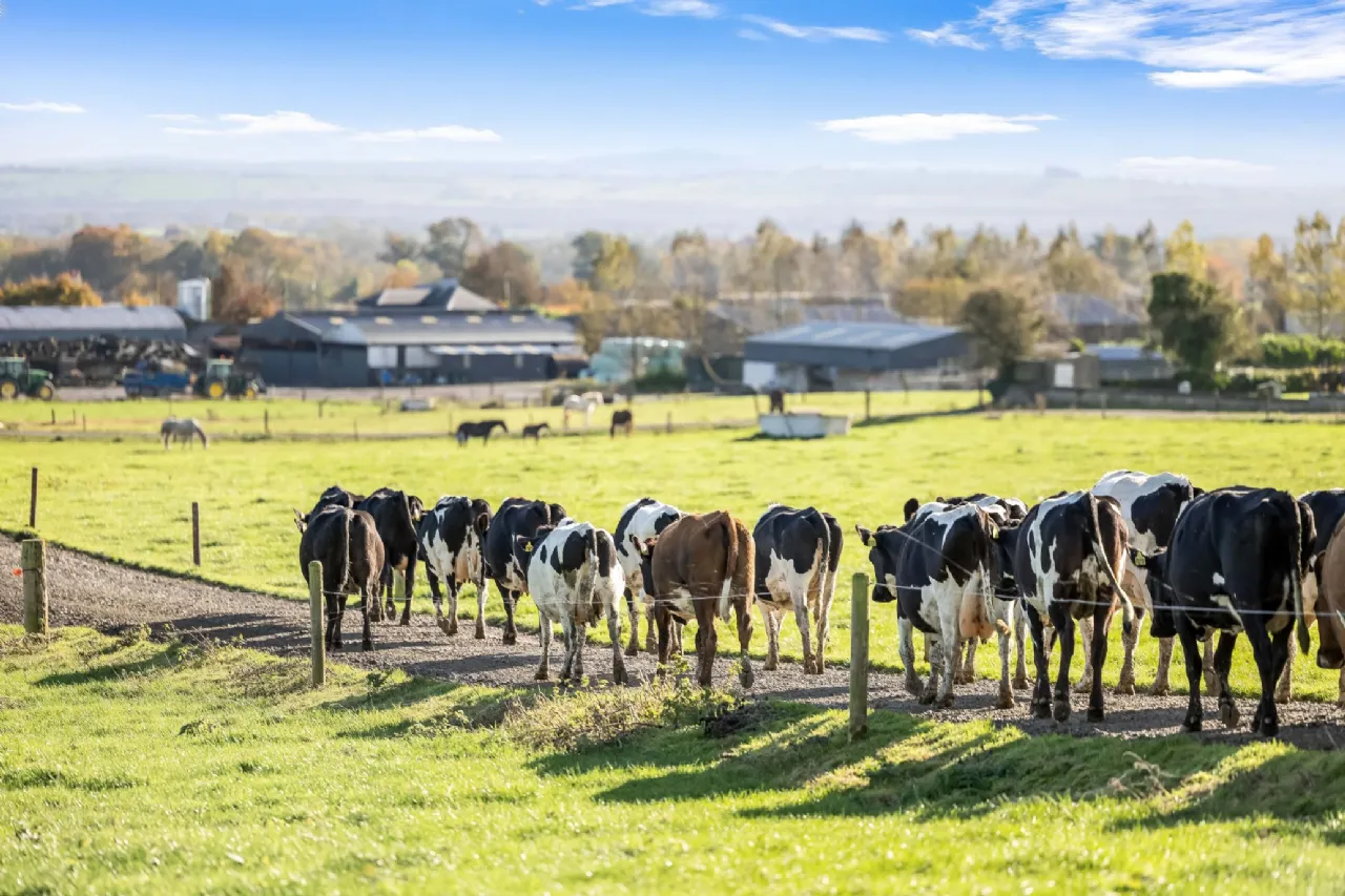 Photo of Eyrecourt Demesne (The Entire), On Approx. 56.27 Hec (138.99 Acres), Eyrecourt, County Galway, H53HC85