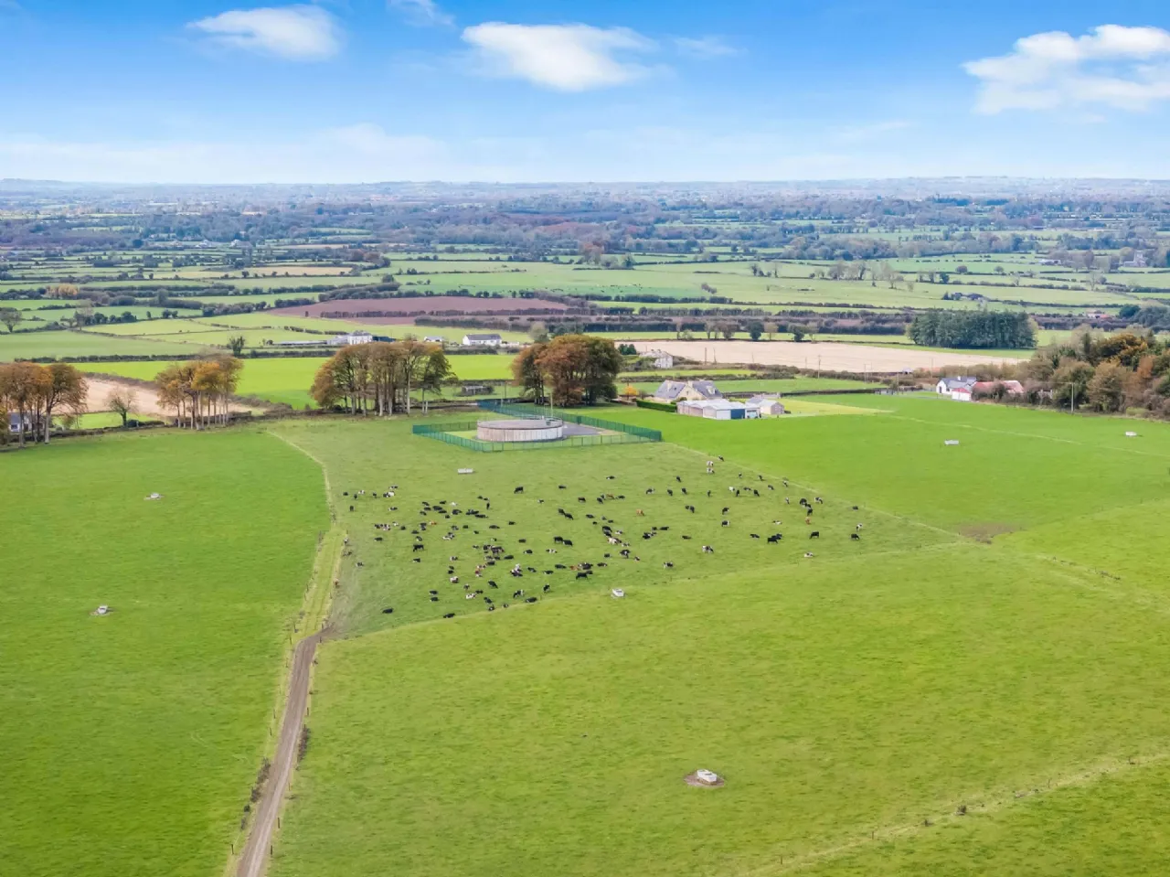 Photo of Eyrecourt Demesne (The Entire), On Approx. 56.27 Hec (138.99 Acres), Eyrecourt, County Galway, H53HC85