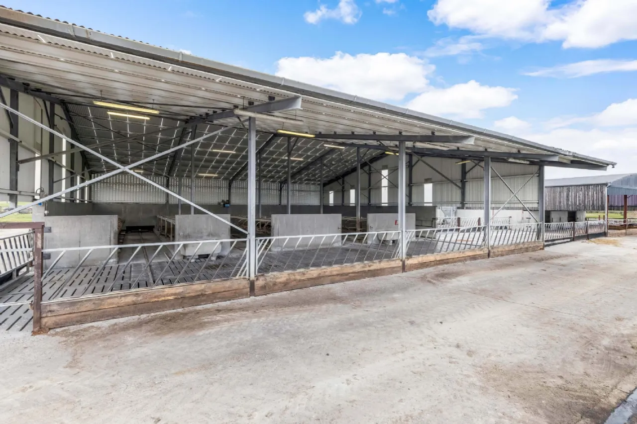 Photo of Eyrecourt Demesne (The Entire), On Approx. 56.27 Hec (138.99 Acres), Eyrecourt, County Galway, H53HC85