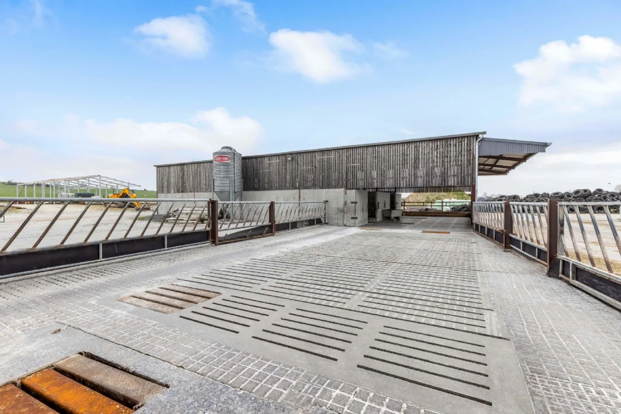 Photo of Eyrecourt Demesne (The Entire), On Approx. 56.27 Hec (138.99 Acres), Eyrecourt, County Galway, H53HC85