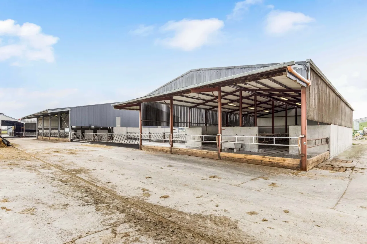 Photo of Eyrecourt Demesne (The Entire), On Approx. 56.27 Hec (138.99 Acres), Eyrecourt, County Galway, H53HC85