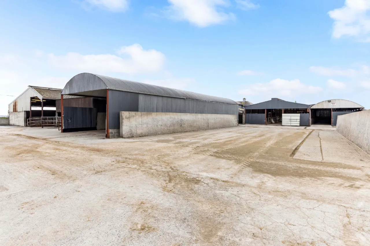 Photo of Eyrecourt Demesne (The Entire), On Approx. 56.27 Hec (138.99 Acres), Eyrecourt, County Galway, H53HC85