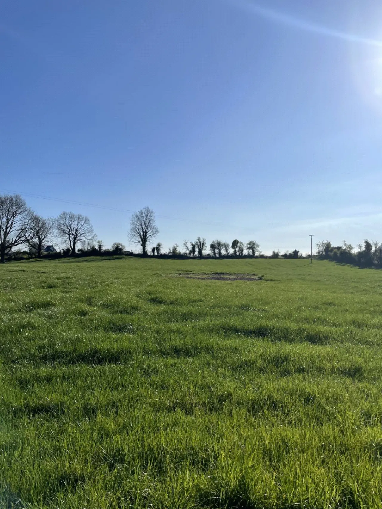 Photo of Claggernagh West, Portumna, Co. Galway