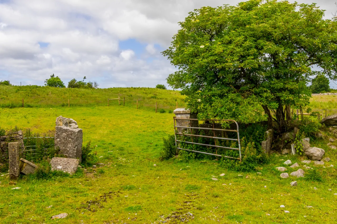 Photo of Camhill, Brideswell, Co Roscommon, N37P963