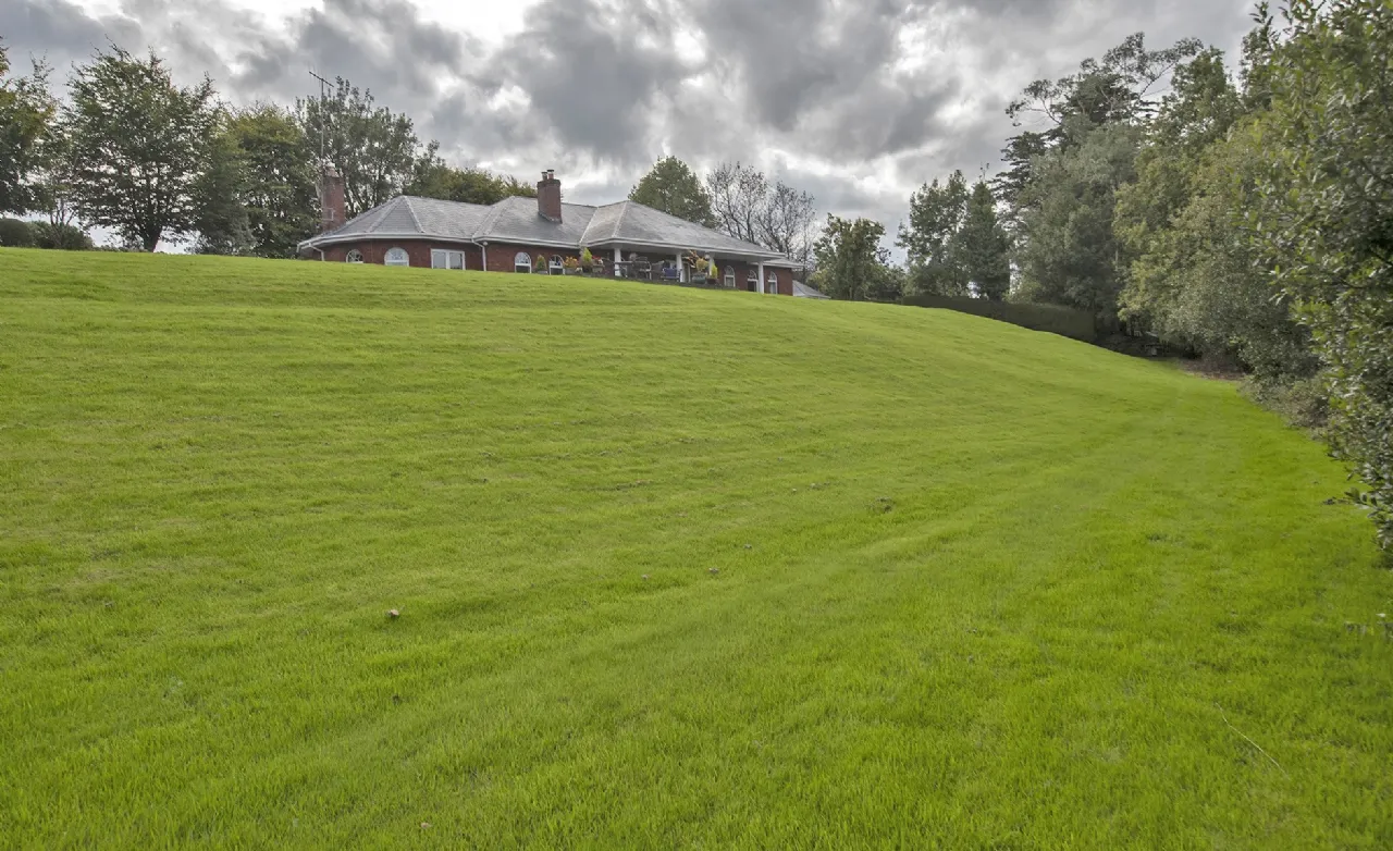 Photo of Blackwater Beeches, Cloonbeg, Ballyduff Upper, Co Waterford, P51 YY67