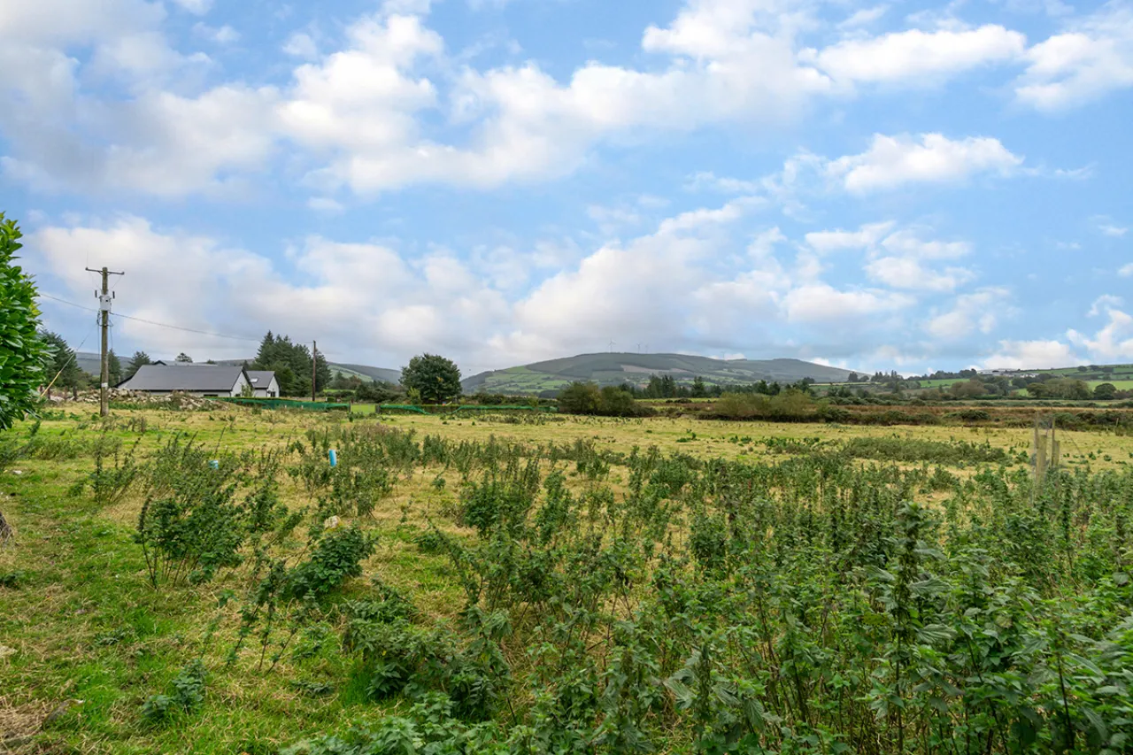 Photo of Moyne Road, Knockananna, Arklow, Co. Wicklow, Y14 AF50