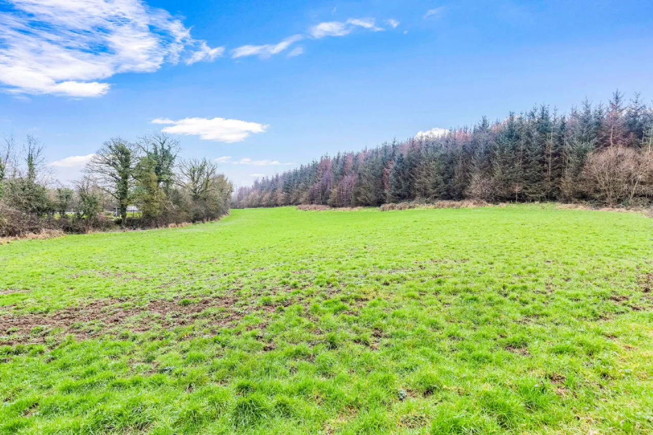 Photo of Residential Farm, Derrykinnard, Emyvale, Co. Monaghan, H18 H744