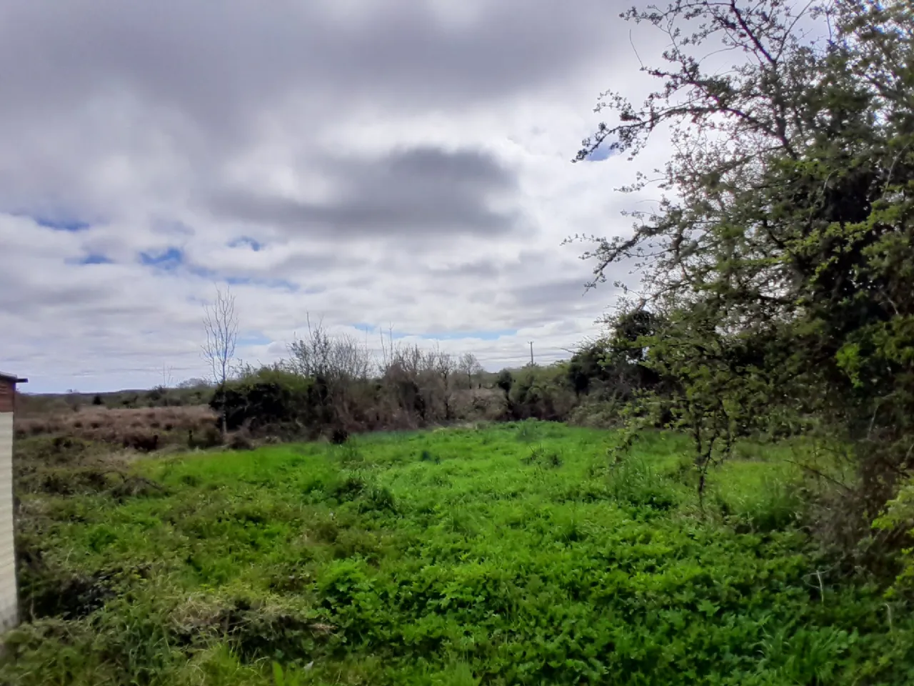 Photo of Knocks, Killasser, Co. Mayo