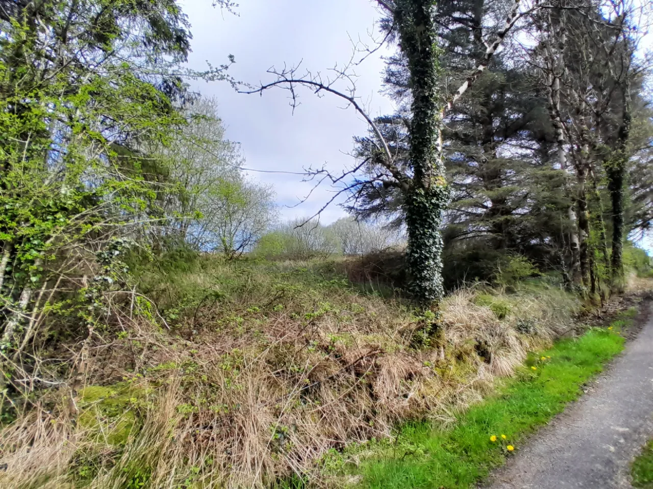 Photo of Knocks, Killasser, Co. Mayo