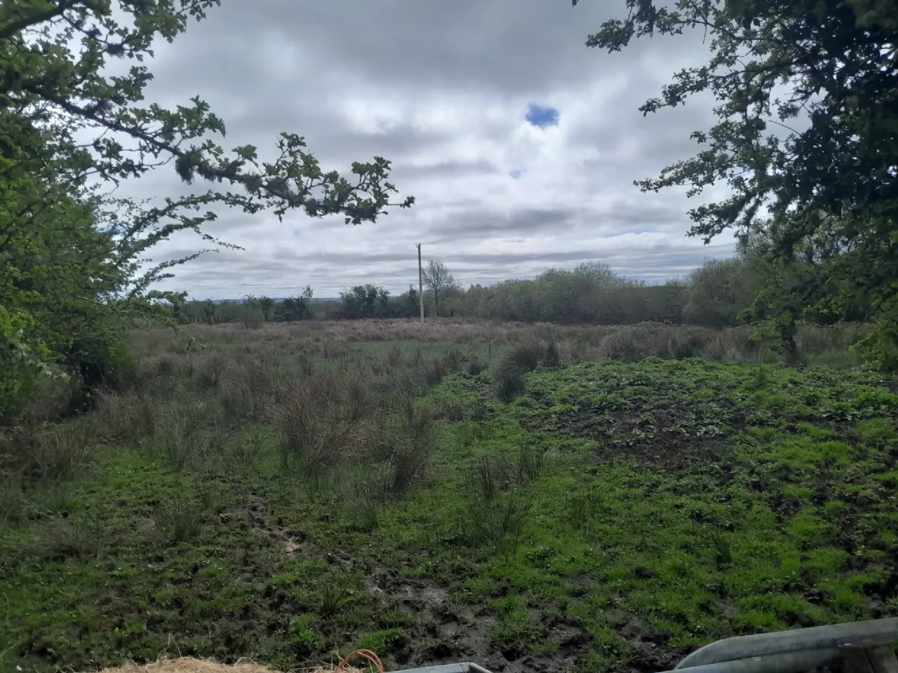 Photo of Knocks, Killasser, Co. Mayo