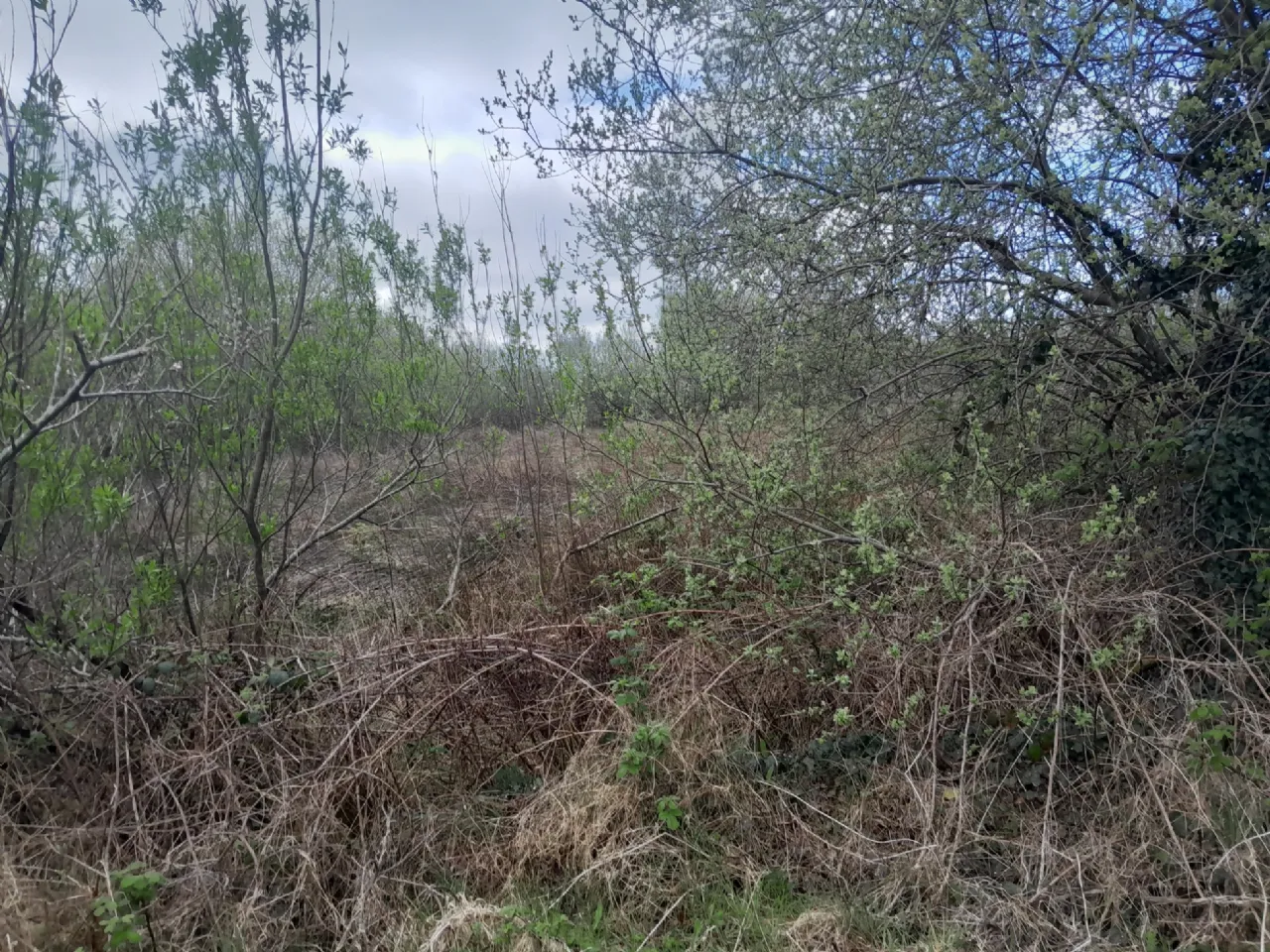 Photo of Knocks, Killasser, Co. Mayo