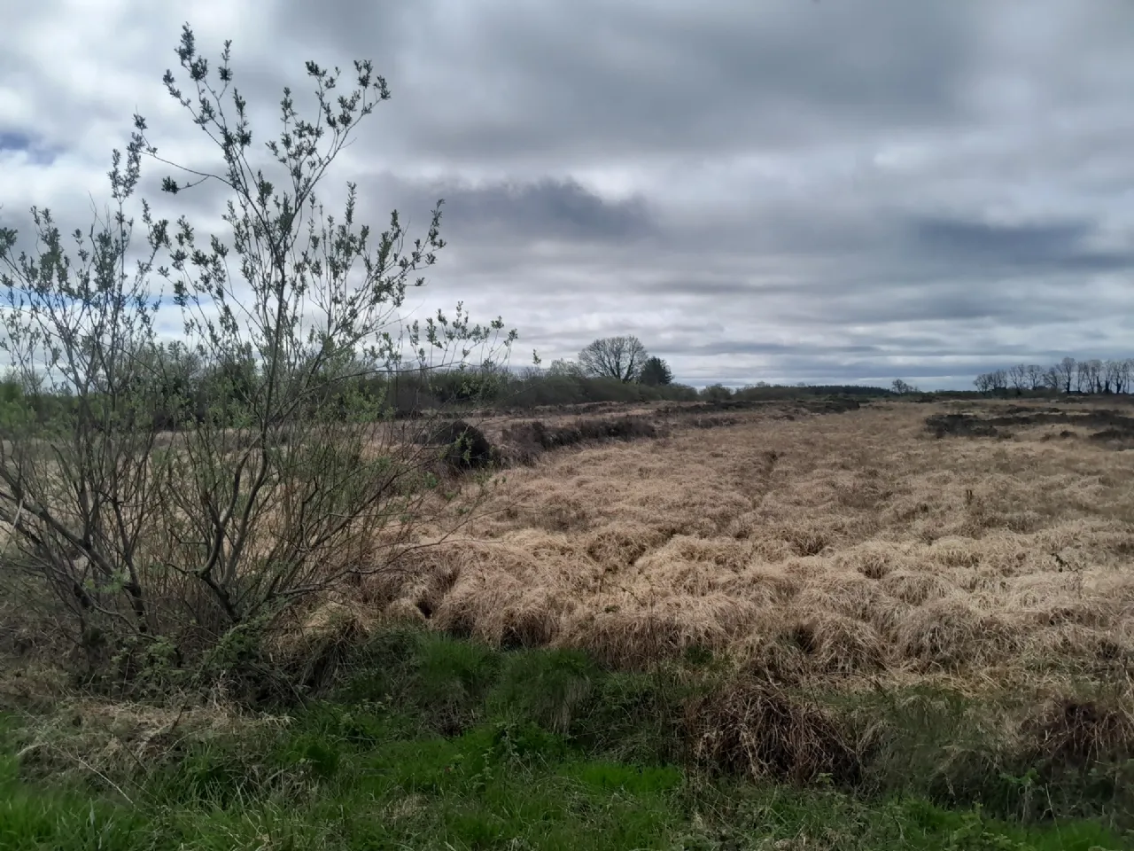 Photo of Knocks, Killasser, Co. Mayo