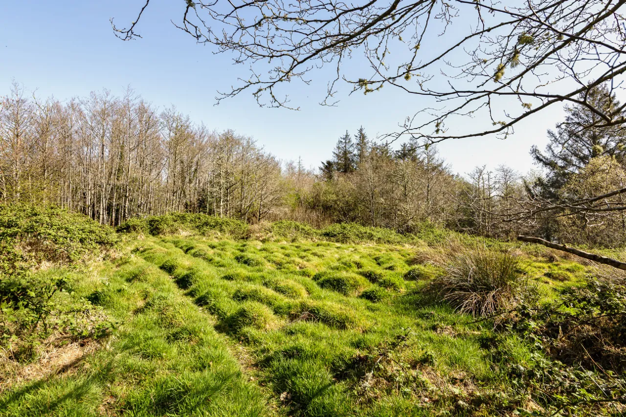 Photo of Lecarrow, Ballinafad, Co. Sligo, F52 T651