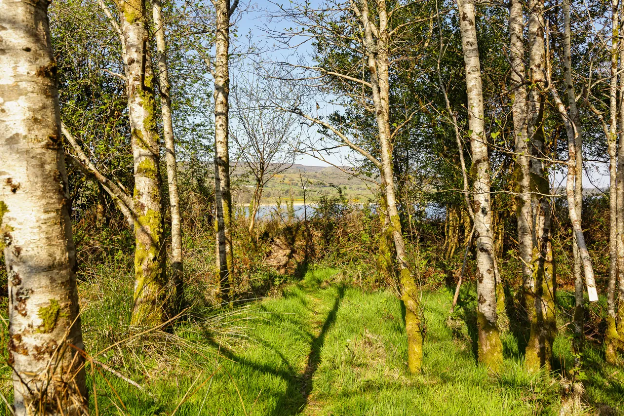 Photo of Lecarrow, Ballinafad, Co. Sligo, F52 T651