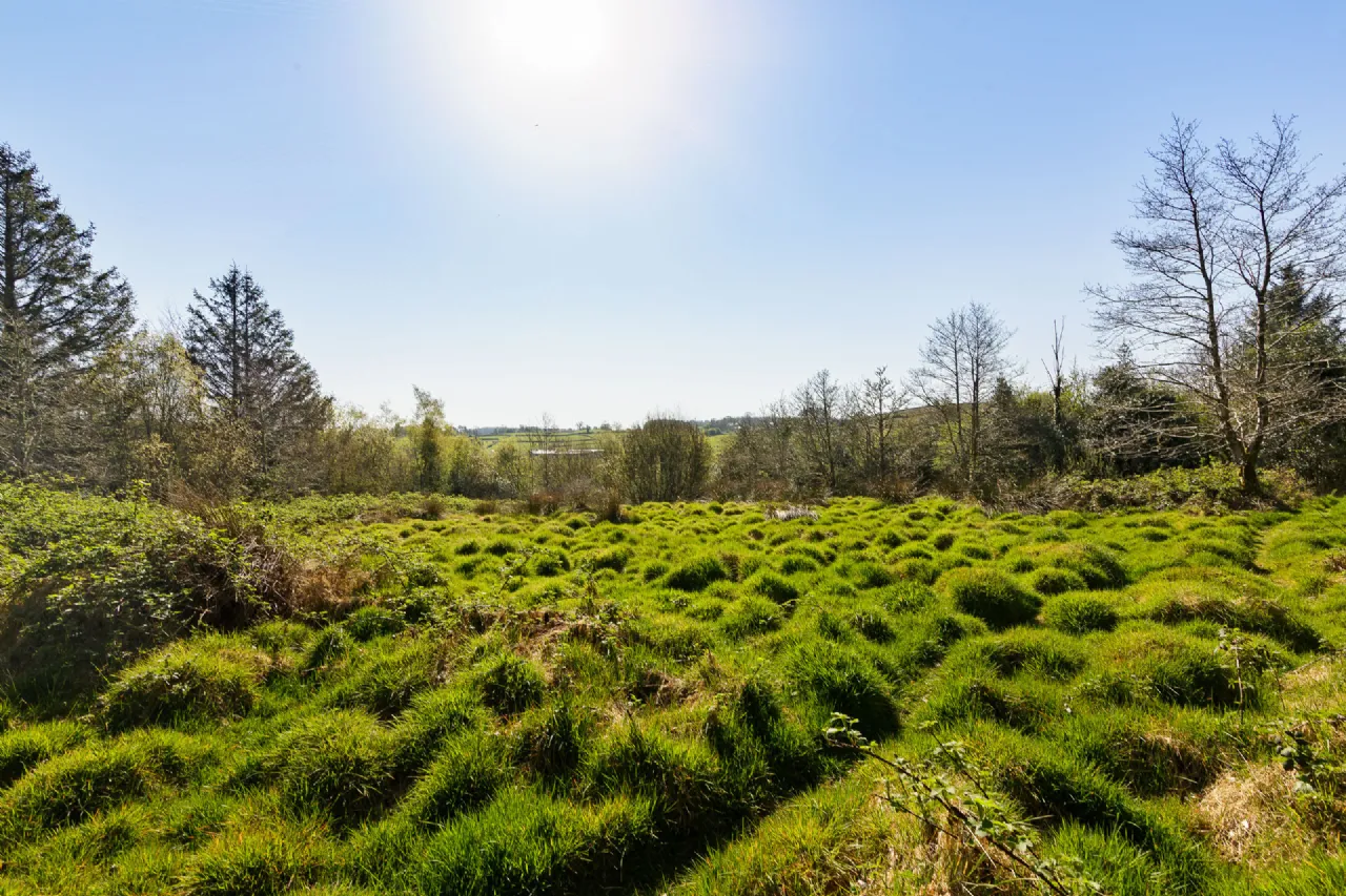 Photo of Lecarrow, Ballinafad, Co. Sligo, F52 T651