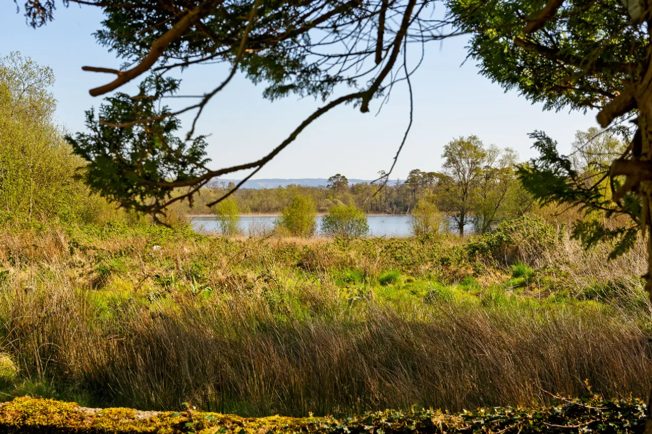 Photo of Lecarrow, Ballinafad, Co. Sligo, F52 T651