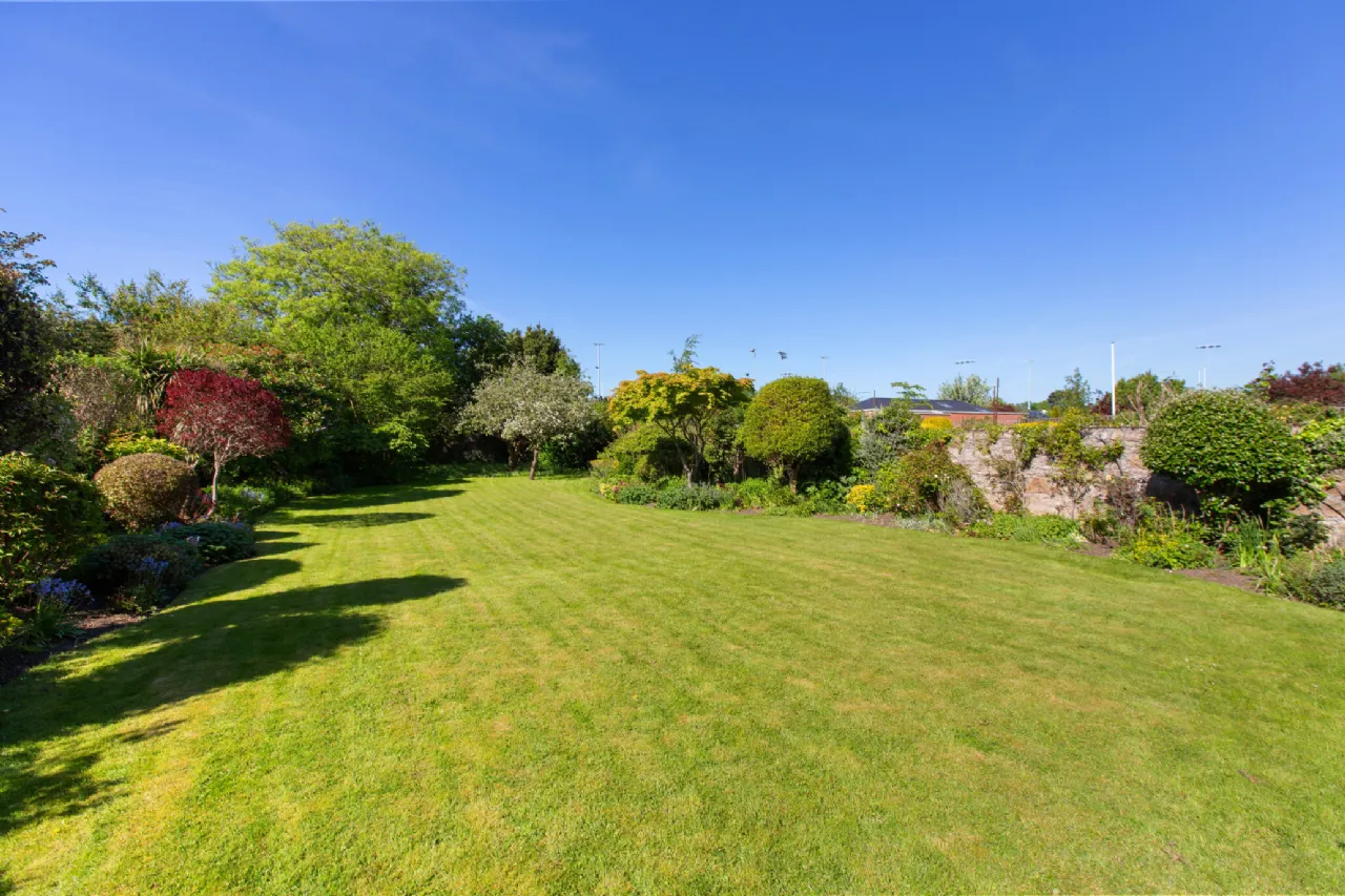 Photo of Belgrano, 73 Merrion Road, Ballsbridge, Dublin 4, D04 E7F9