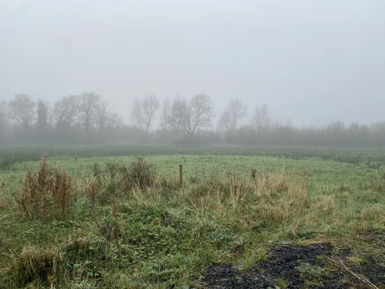 Photo of Cottage On Approx 2.2 Acres, Coolcraff, Abbeylara, Co. Longford, N39 EY81