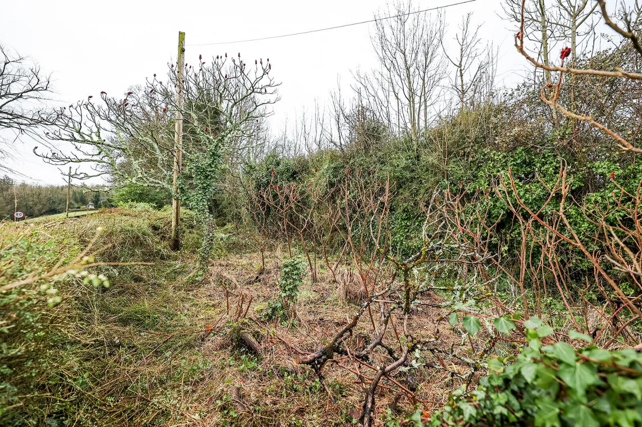 Photo of Forest Hills, High Street, Inistioge, Co Kilkenny, R95 V6R6