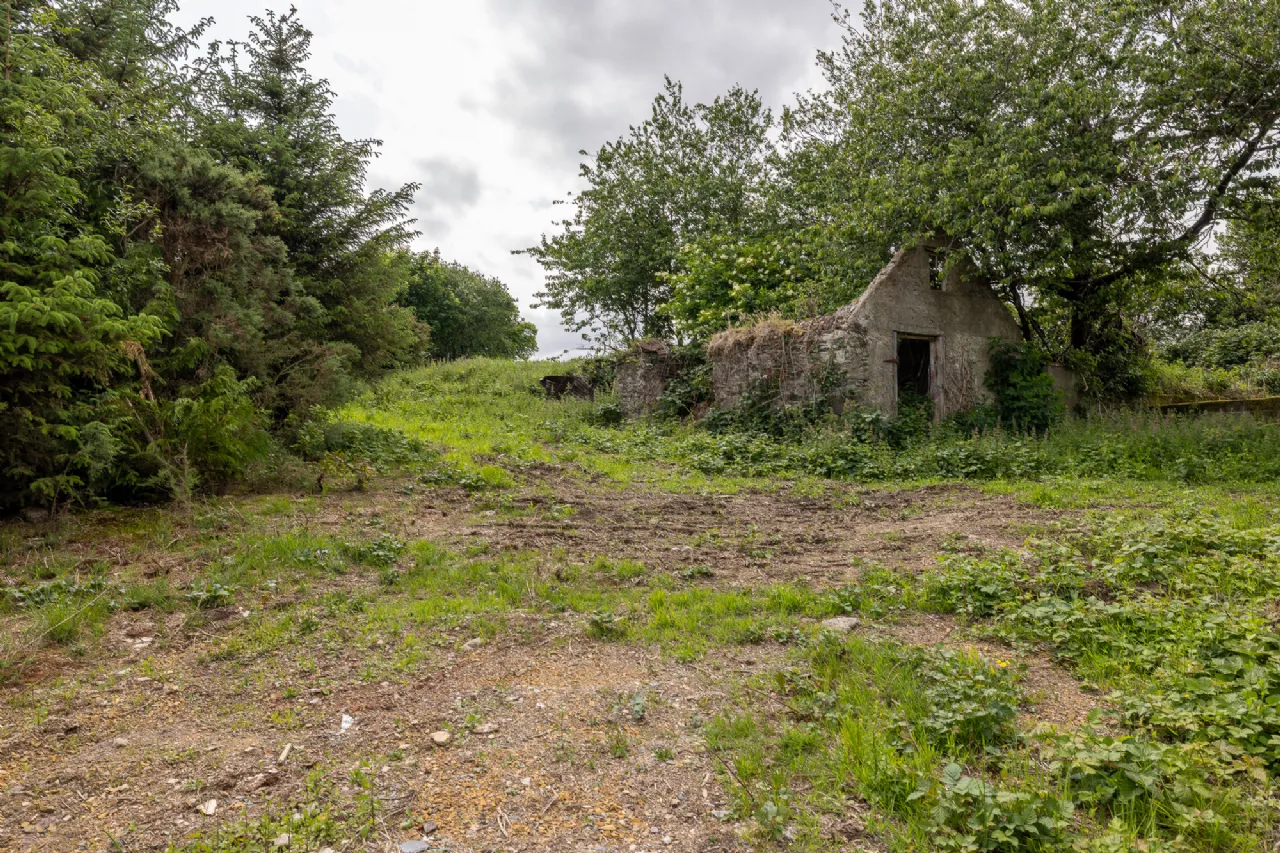 Photo of Creagh, Hollyfort Road, Gorey, Co. Wexford, Y25 H567