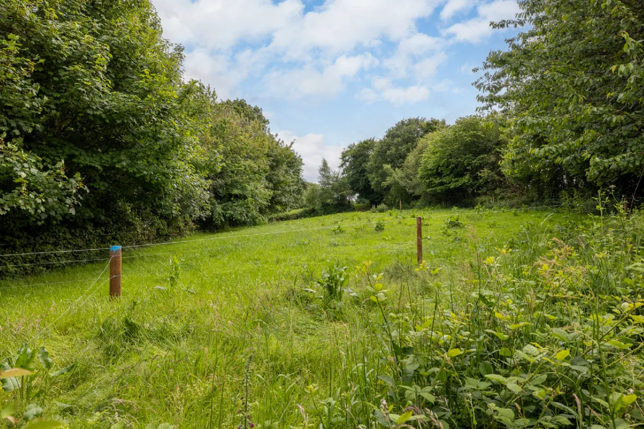 Photo of Creagh, Hollyfort Road, Gorey, Co. Wexford, Y25 H567