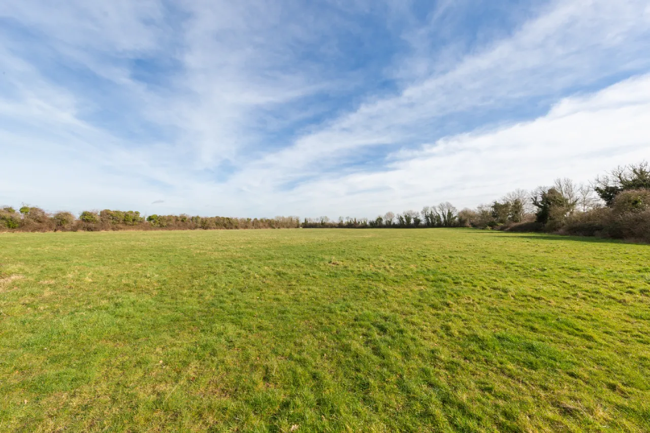 Photo of Laragh Demesne, Maynooth, Co Kildare