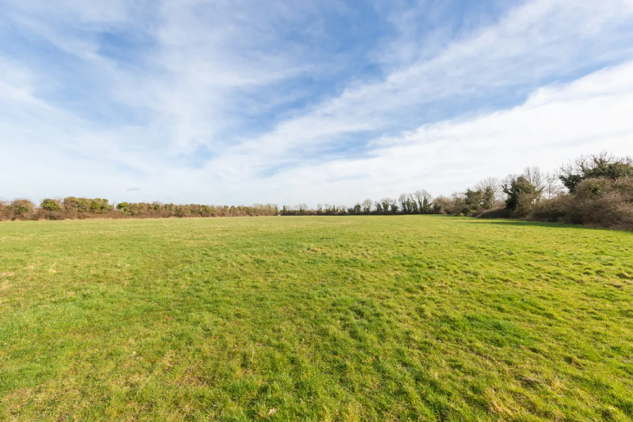 Photo of Laragh Demesne, Maynooth, Co Kildare