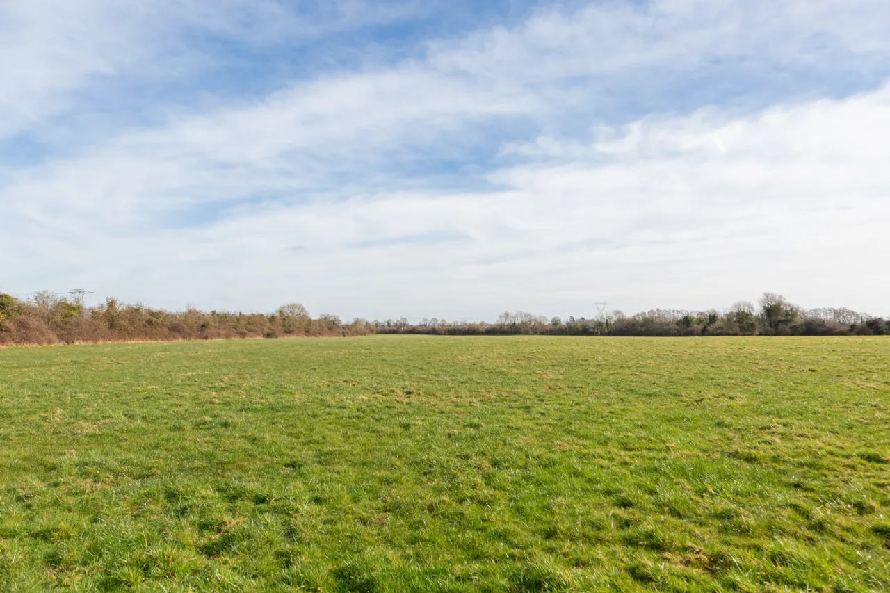 Photo of Laragh Demesne, Maynooth, Co Kildare