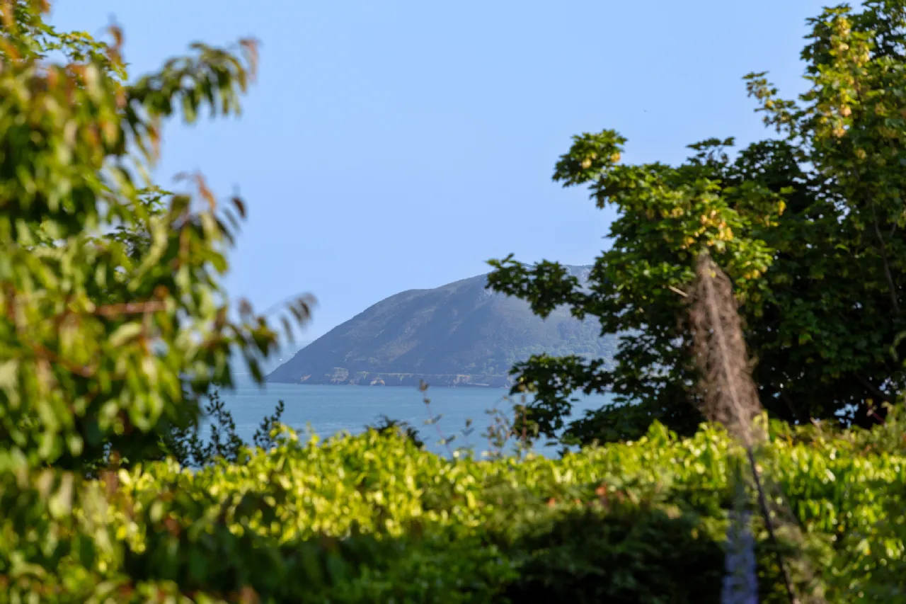 Photo of Talbot House, Talbot Road, Killiney, Co. Dublin, A96 AK15