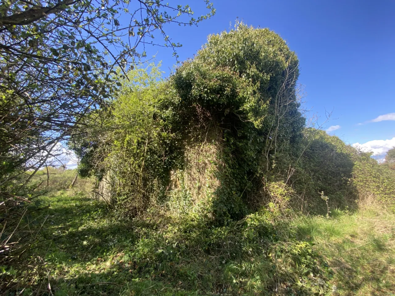 Photo of Dunganstown, Delvin, Co. Westmeath