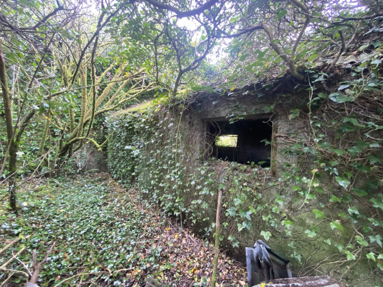 Photo of Dunganstown, Delvin, Co. Westmeath