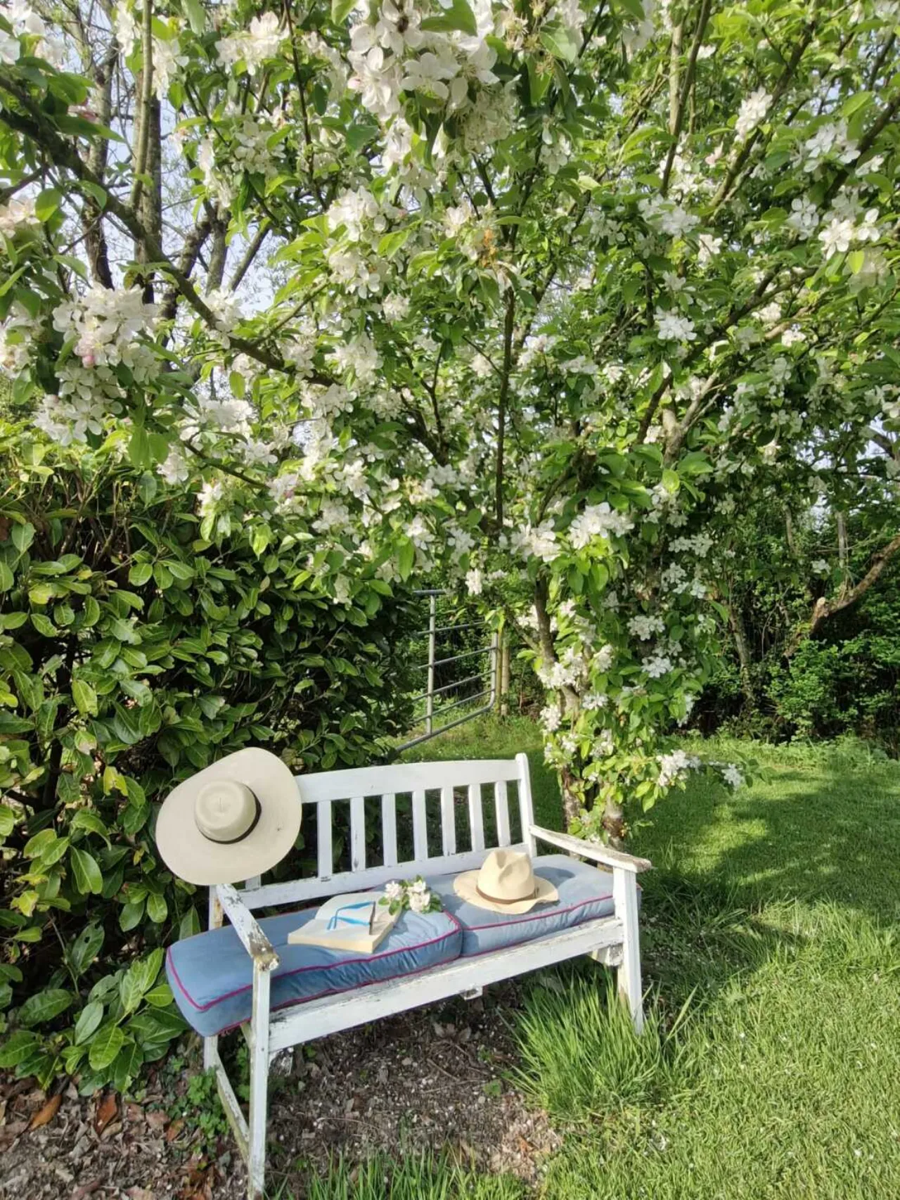 Photo of Urcher, Stranooden, Co. Monaghan, H18EN88