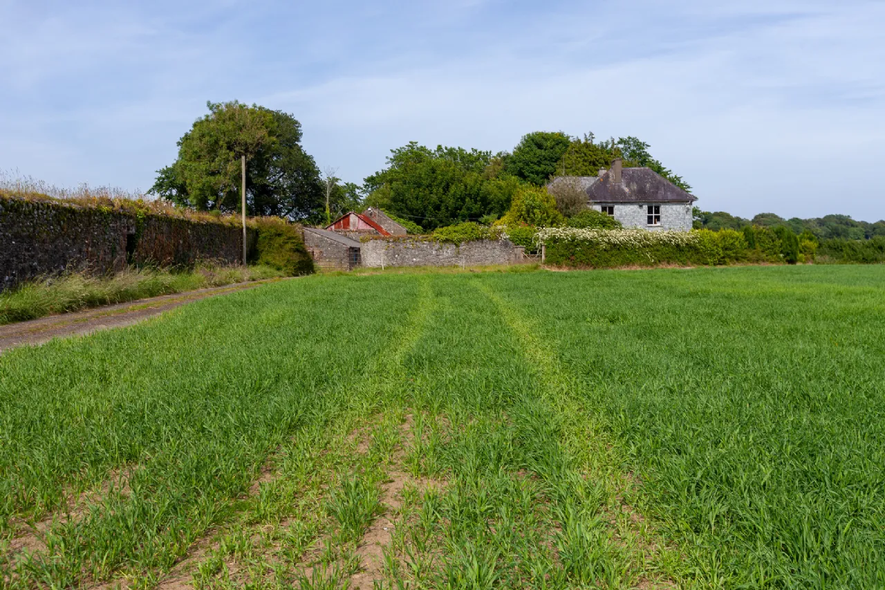 Photo of Saint Edmonds, Crossabeg, Co. Wexford, Y35 X292