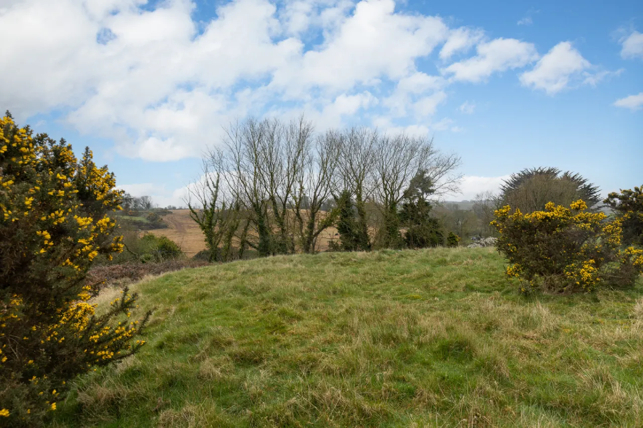 Photo of Birdie Cottage, Ballyvaldon, Blackwater, Enniscorthy, Co. Wexford, Y21 XD89