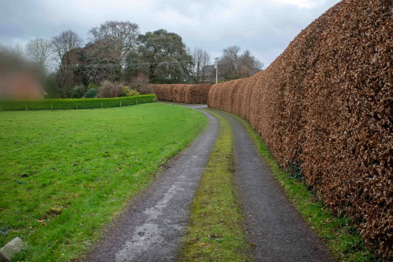 Photo of Belmont House, Ballyard, Tralee, Co. Kerry, V92 TYE6