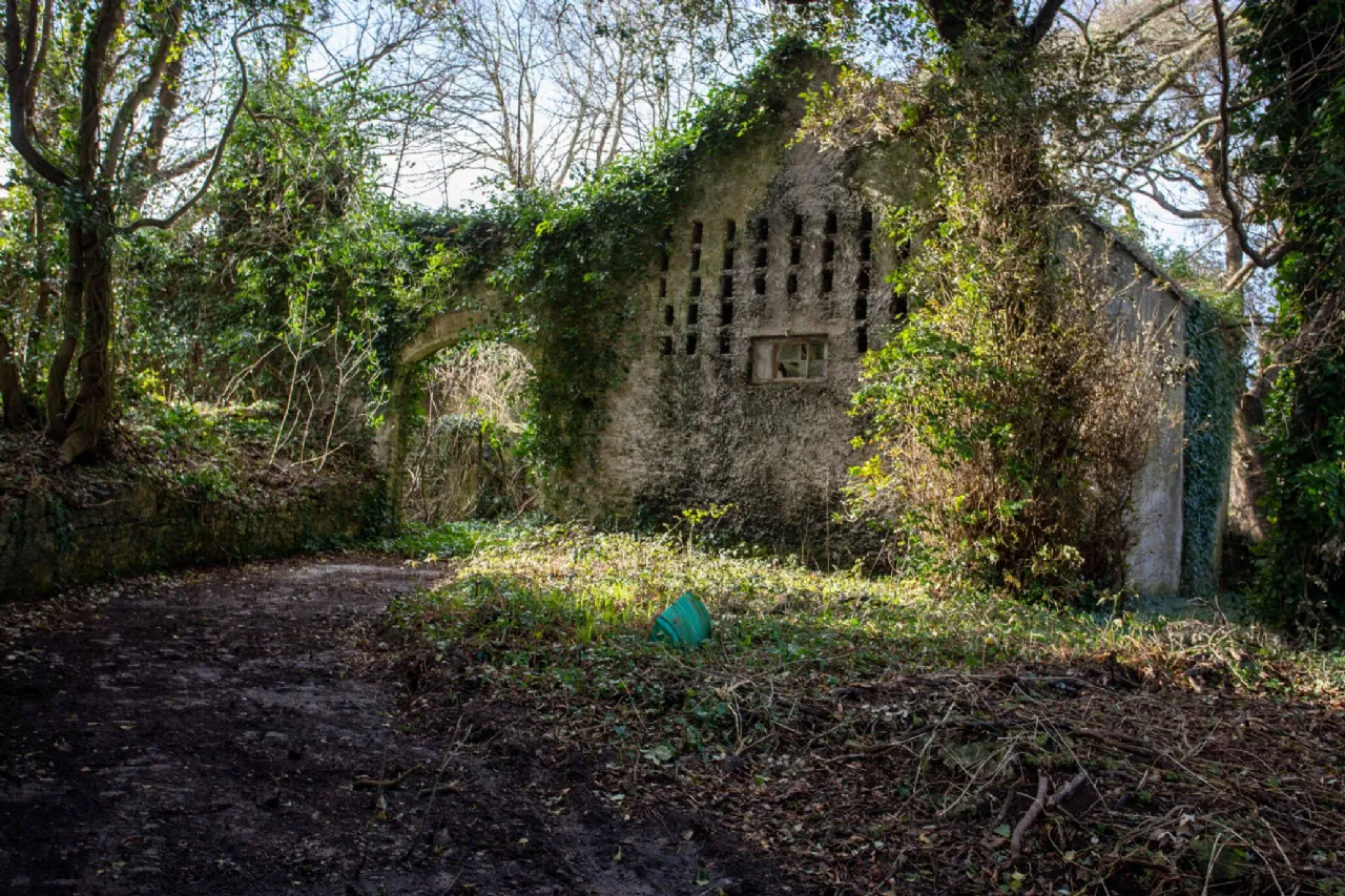 Photo of Belmont House, Ballyard, Tralee, Co. Kerry, V92 TYE6
