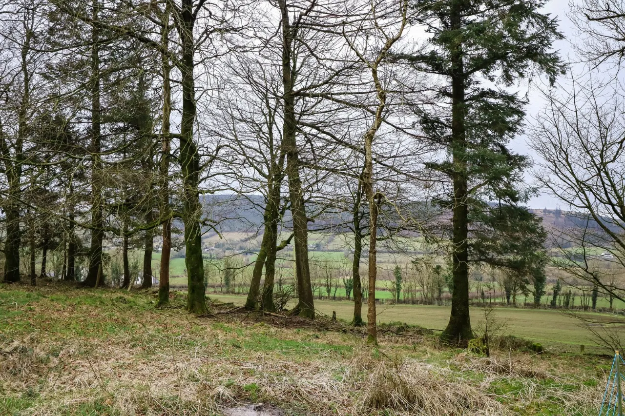 Photo of Coppenagh Farmhouse, Coppenagh, Dungarvan, Co Kilkenny, R95 E8F7