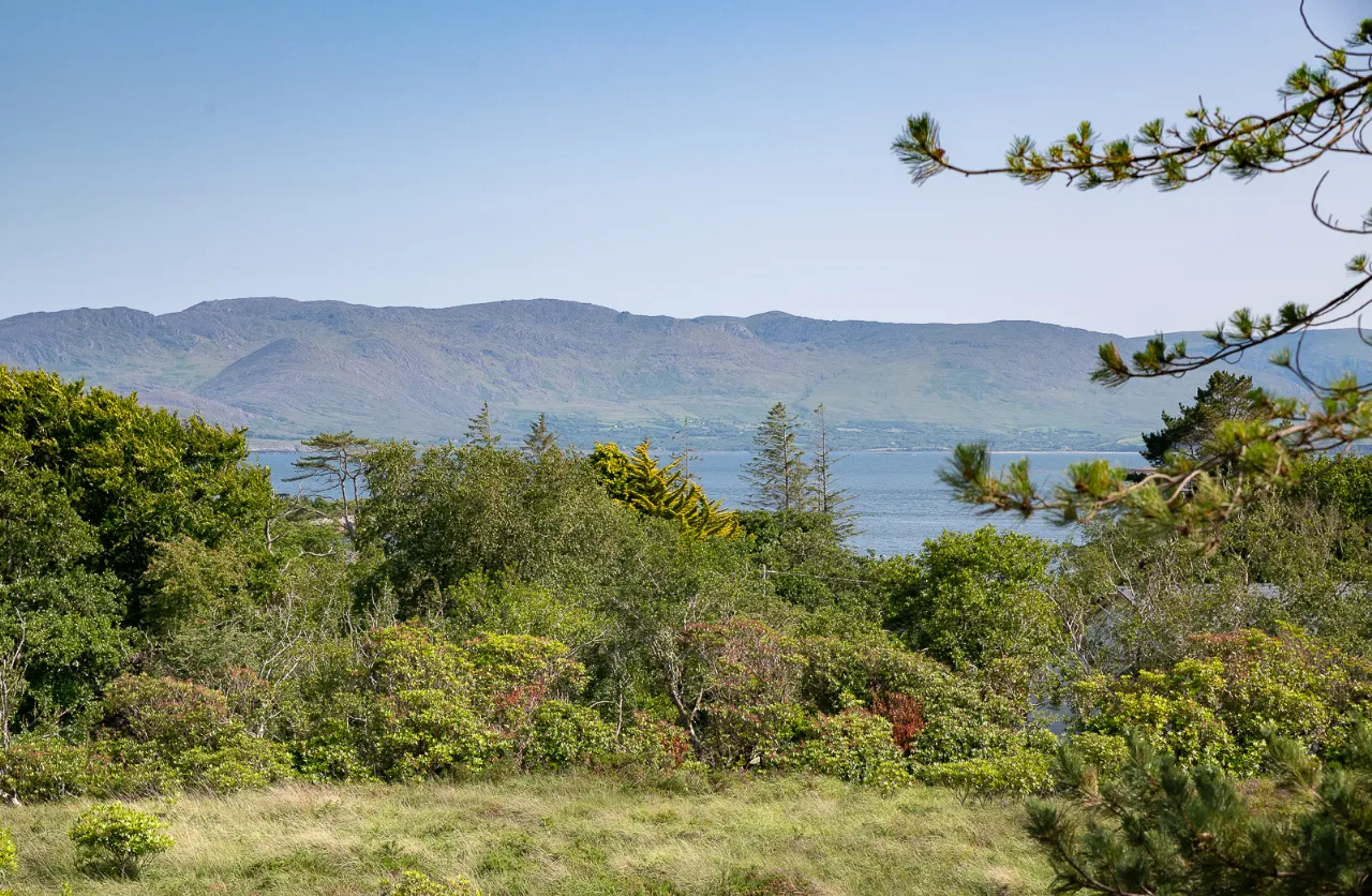 Photo of Oysterbed Road, Sneem, Co. Kerry, V93 PR94