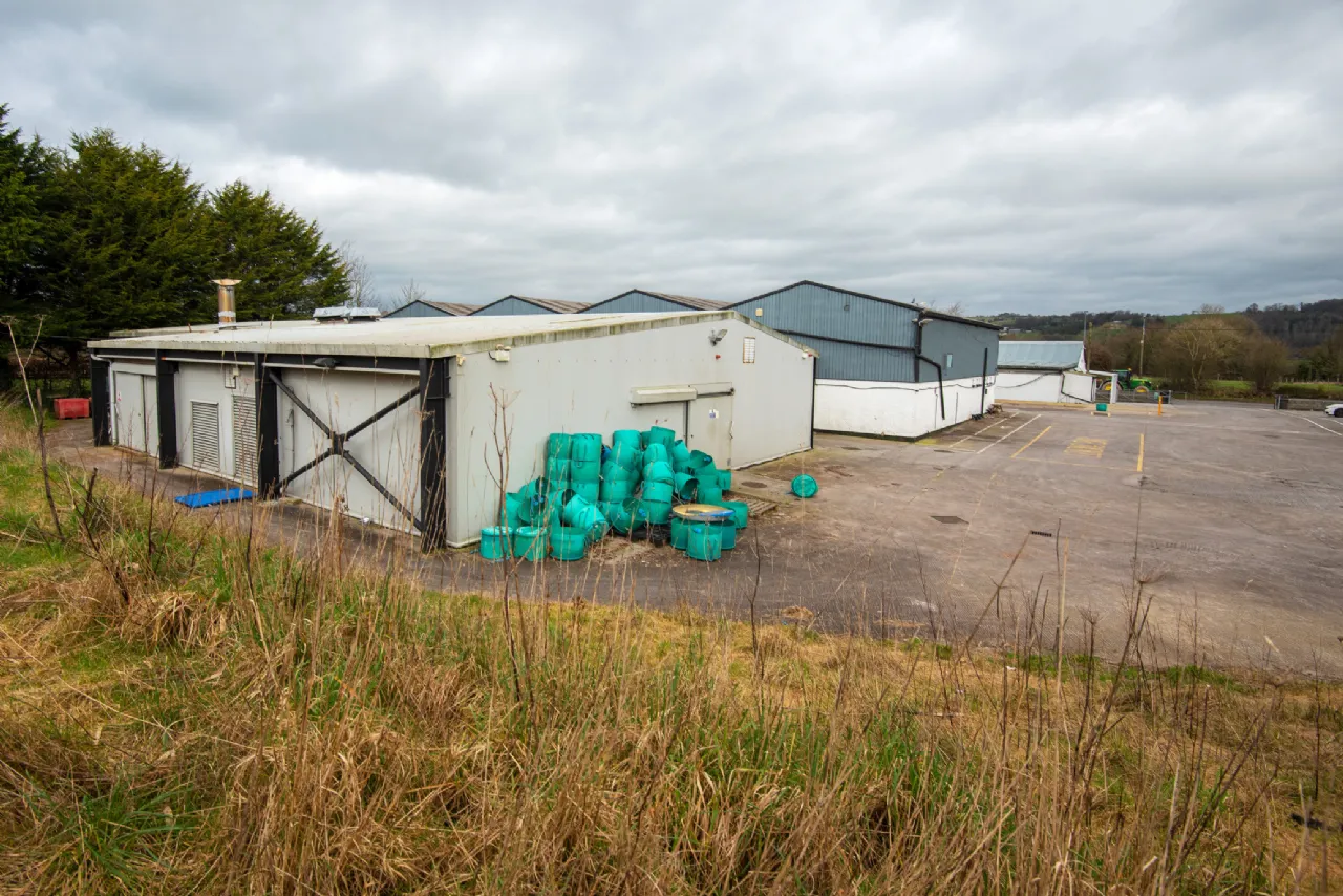 Photo of Curraglass, Conna, Co. Cork, P51 C858