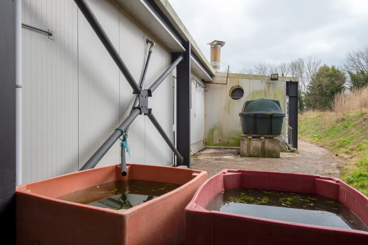 Photo of Curraglass, Conna, Co. Cork, P51 C858