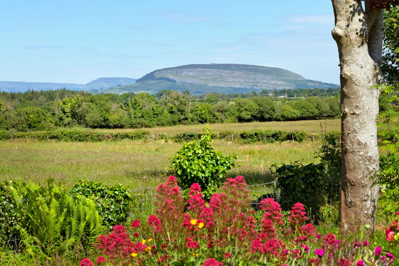 Photo of Stone Park, Drumnagoal, Skreen, Co. Sligo, F91H9K5