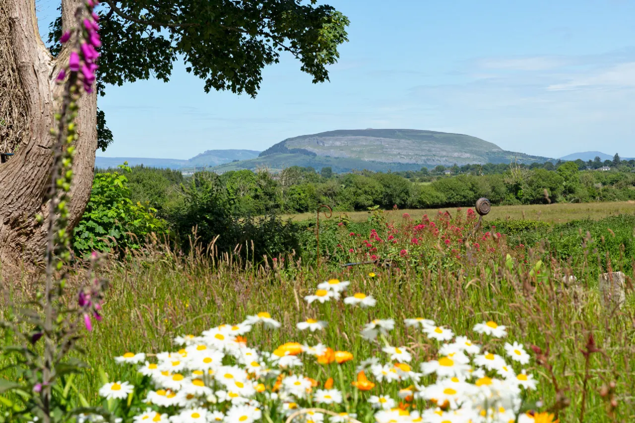 Photo of Stone Park, Drumnagoal, Skreen, Co. Sligo, F91H9K5