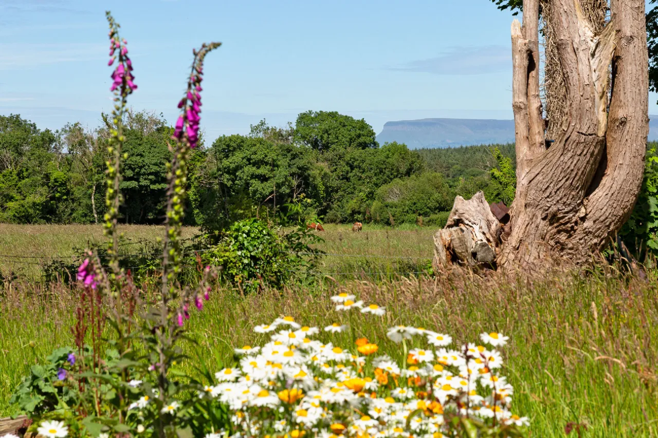 Photo of Stone Park, Drumnagoal, Skreen, Co. Sligo, F91H9K5