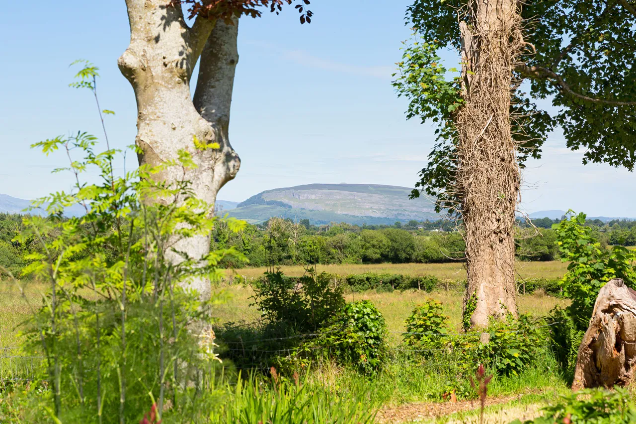 Photo of Stone Park, Drumnagoal, Skreen, Co. Sligo, F91H9K5